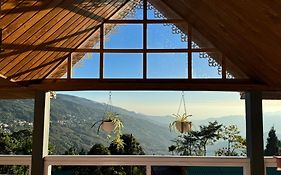 Pine Forest Retreat